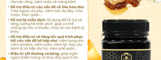 Tại sao mật ong Manuka có thể khác nhau về độ đậm đặc và màu sắc mỗi lô dù có cùng chỉ số MGO?